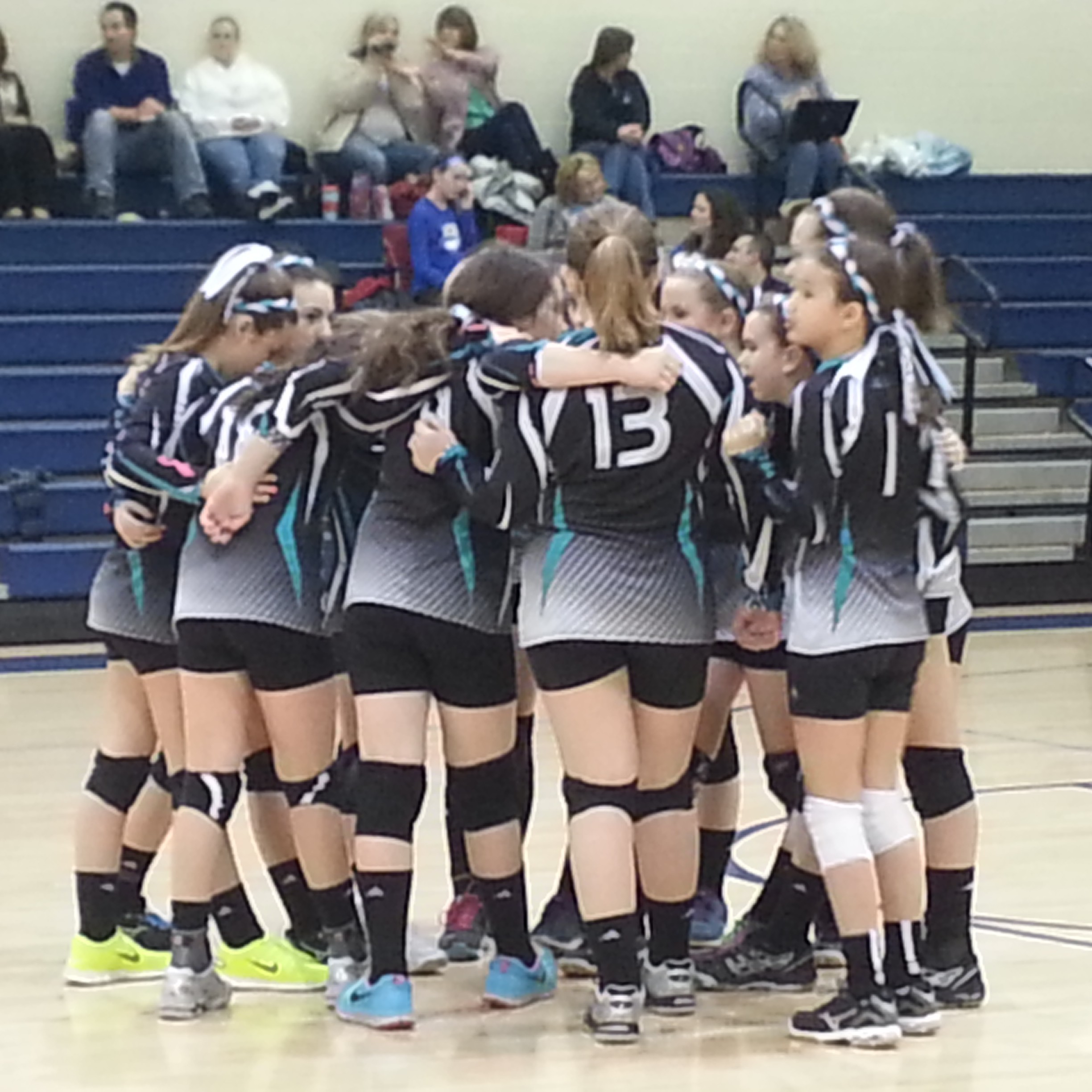 Stingray Volleyball Academy Fundly