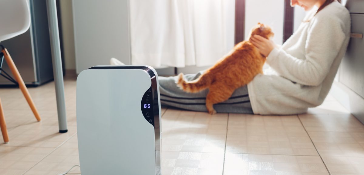 AN AIR PURIFIER CAN HELP GET RID OF CAT ODO... Fundly