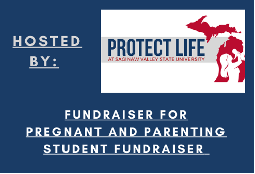 Scholarships For Pregnant Students3