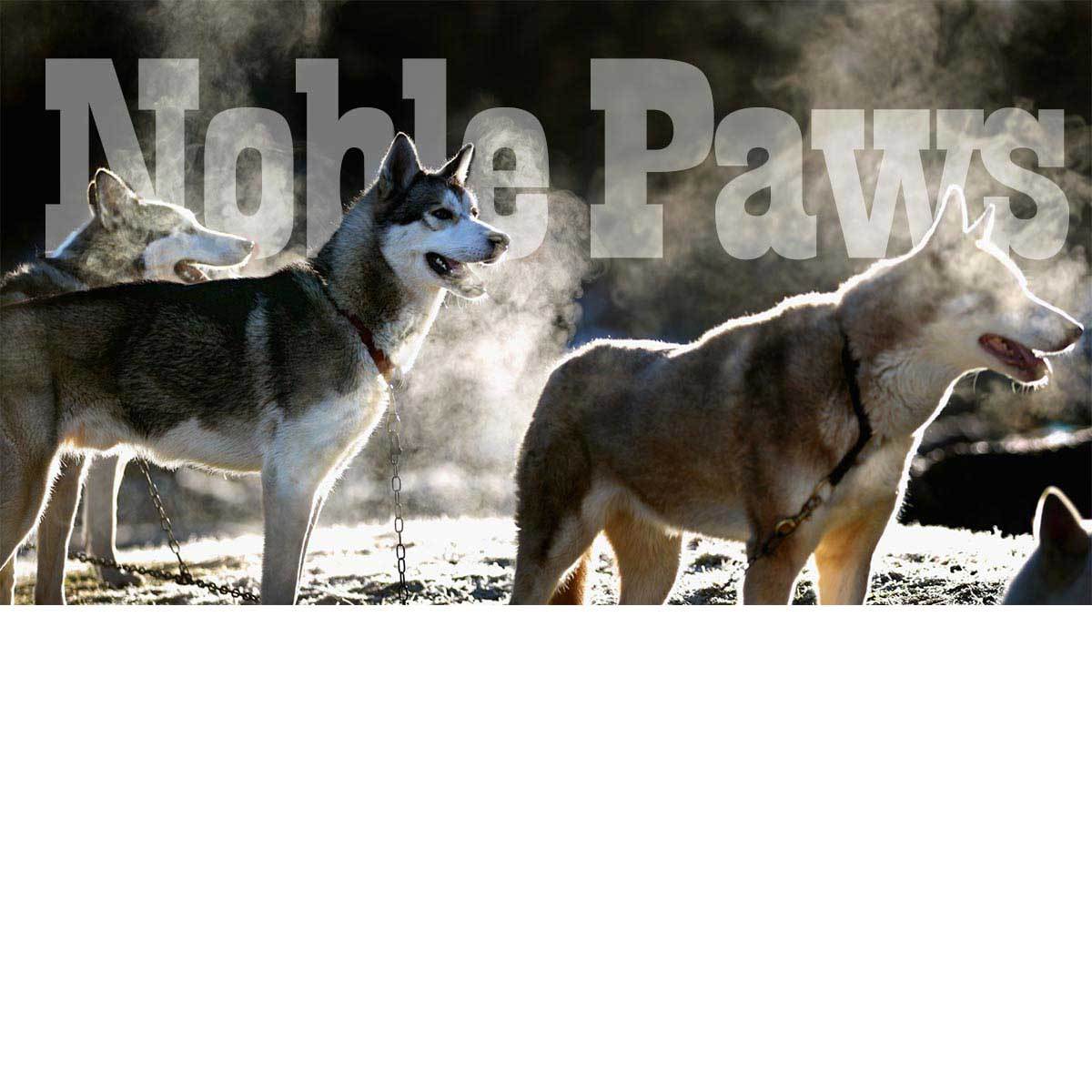 Noble Paws Sled Dogs Serving People with Fundly
