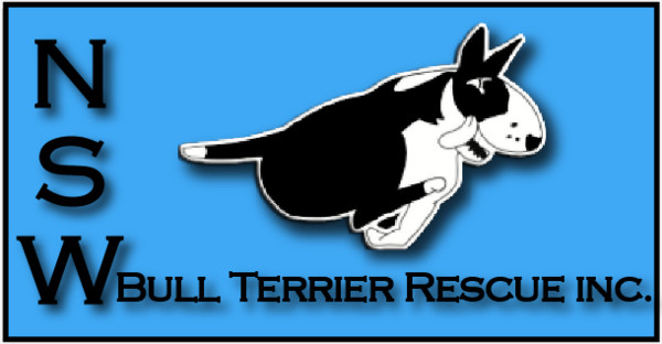 NSW Bull Terrier Rescue Inc NSW Bull Terrier Rescue Inc