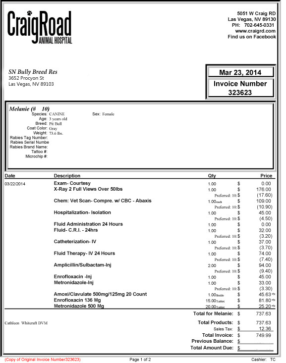 First Bill, amt paid. First Bill, amt paid.