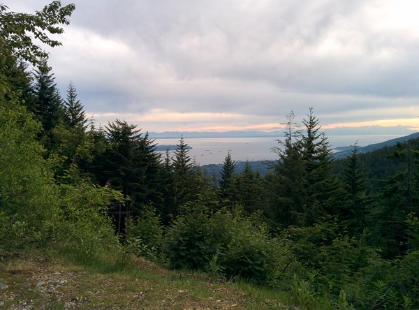 The view The view