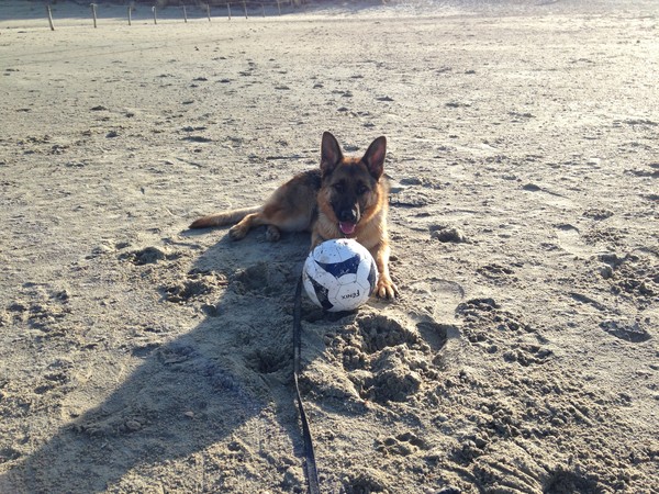 Lana a few months ago on the beach Lana a few months ago on the beach