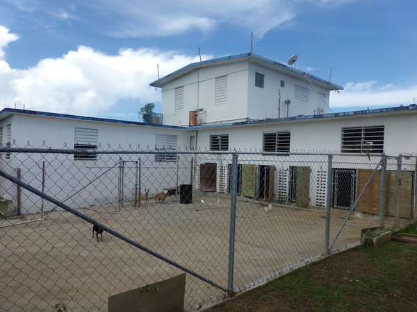 Vieques Humane Society Vieques Humane Society