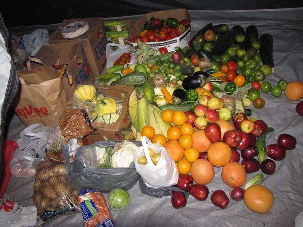 Full stocked supply tent! Full stocked supply tent!