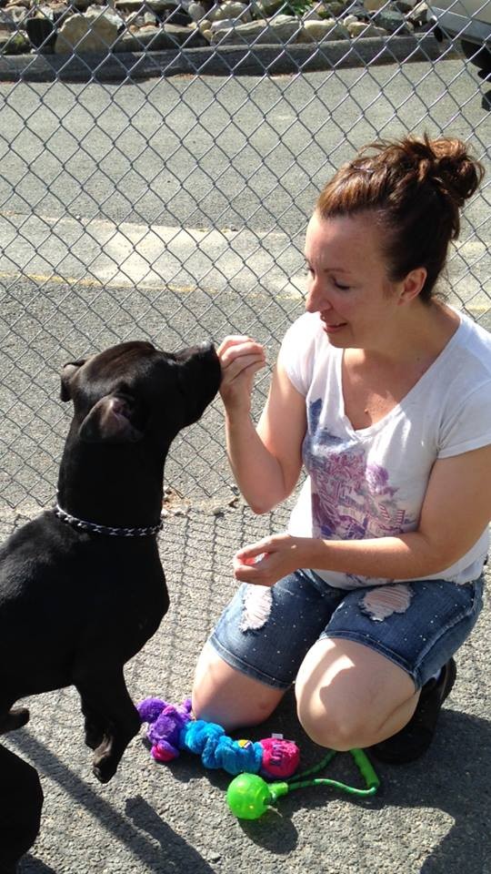 Dino & me at current boarding facility Camelot Kennels Dino & me at current boarding facility Camelot Kennels