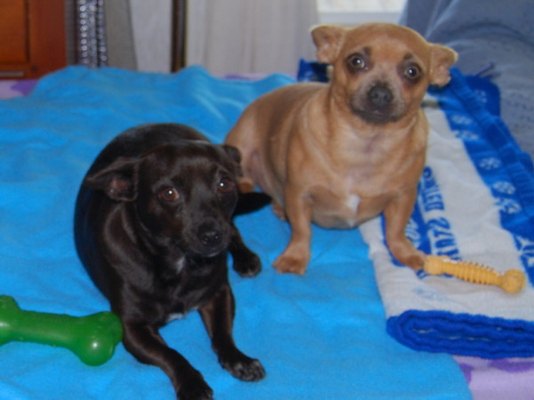 Paco Taco and Momma Bonita Paco Taco and Momma Bonita