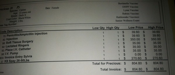 Estimate to remove tumor and spay Estimate to remove tumor and spay