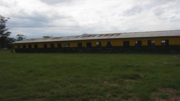 No Windows In The School! No Windows In The School!
