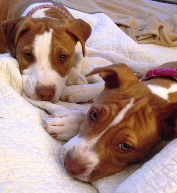 Sisters Sisters