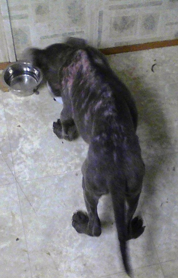 Poor baby! Poor baby!
