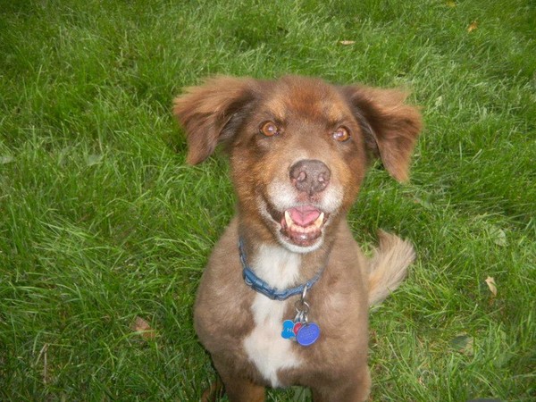 Happy Honey Bear! Happy Honey Bear!
