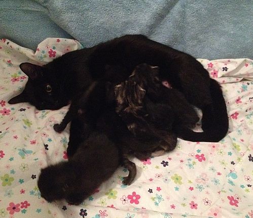 Delilah and Babies Delilah and Babies