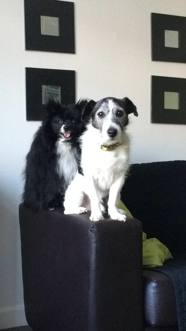 Buster & Lulu Buster & Lulu