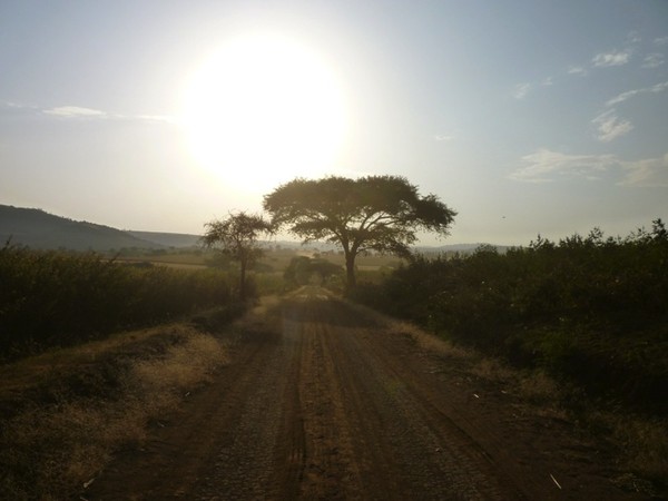 Sunset Sunset
