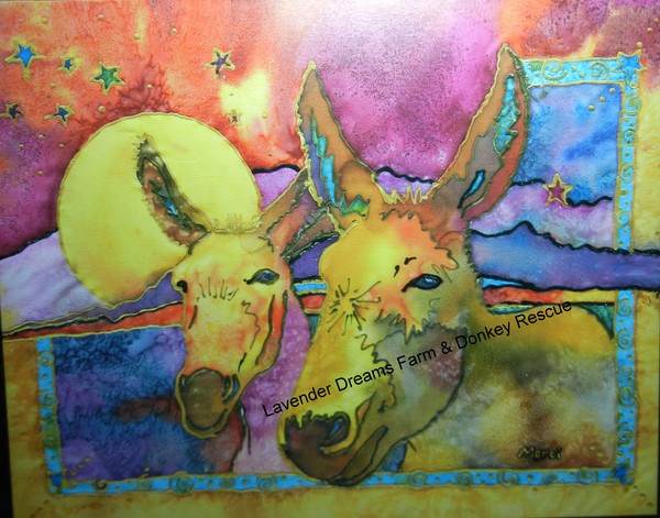 'Dreaming Donkeys' 'Dreaming Donkeys'