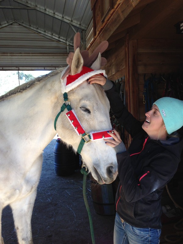 THOR GETS LOTS OF LOVE AT FHR AND AEC! THOR GETS LOTS OF LOVE AT FHR AND AEC!