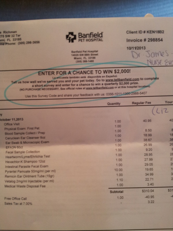 Vet Bill Vet Bill