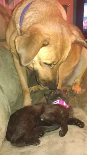 Elsa with her foster sister Elsa with her foster sister
