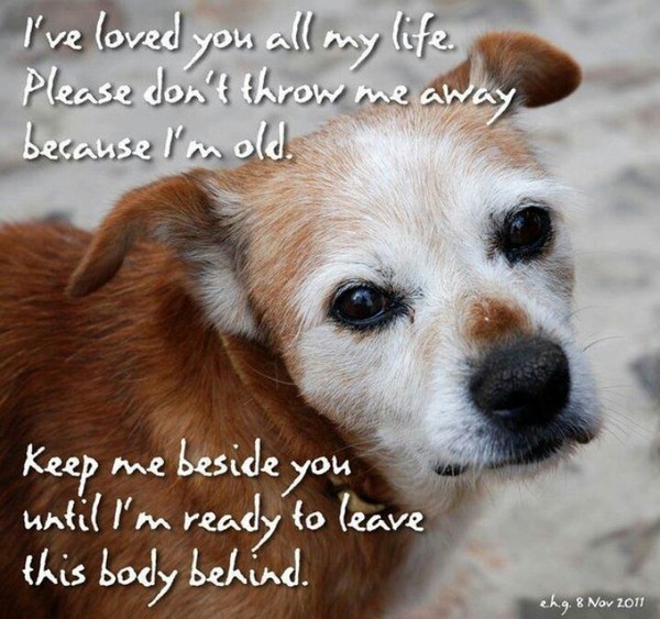 We care for Seniors DUMPED by their family We care for Seniors DUMPED by their family