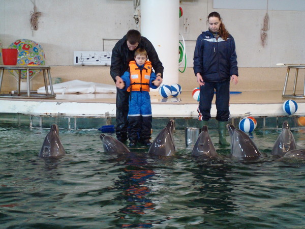 Never seen so many dolphins! Never seen so many dolphins!