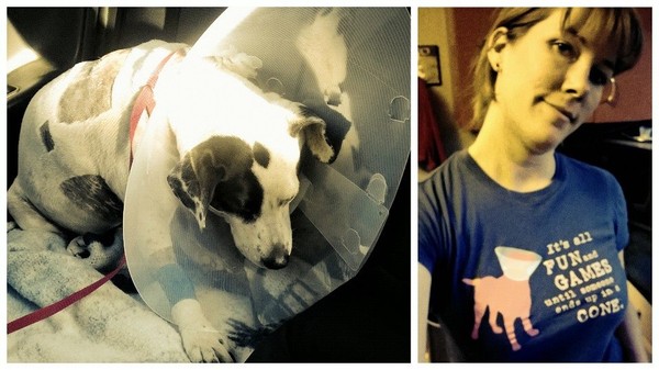 the cone of shame! the cone of shame!