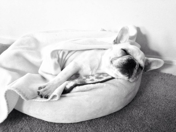 I need lots of naps to rest my heart! I need lots of naps to rest my heart!