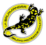 La Salamandra La Salamandra