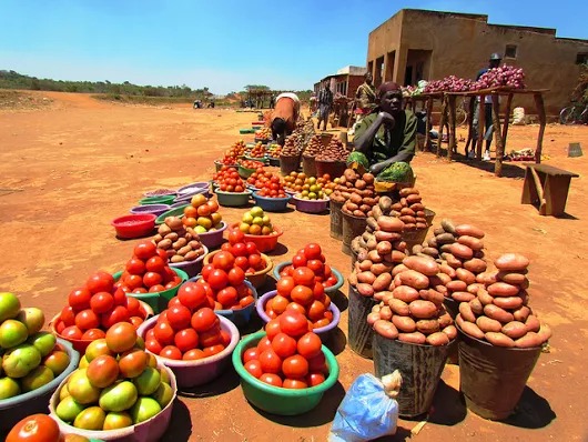 Apply For 50 000 Food Security And Nutrition Micro Grants