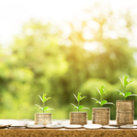 U.S. Embassy in Budapest: Public Diplomacy Small Grants Program