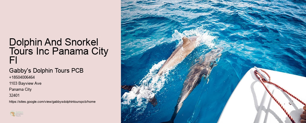 Dolphin Tours Panama City Beach Fl