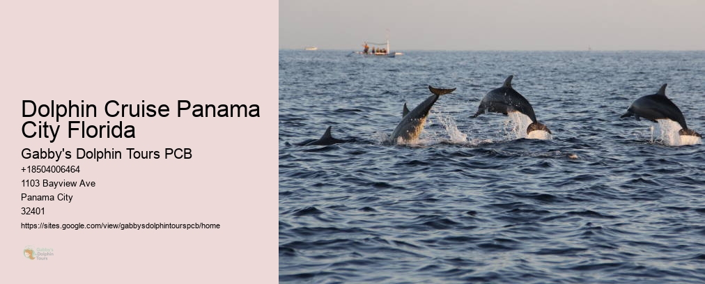 Swim With Dolphins Panama City Fl