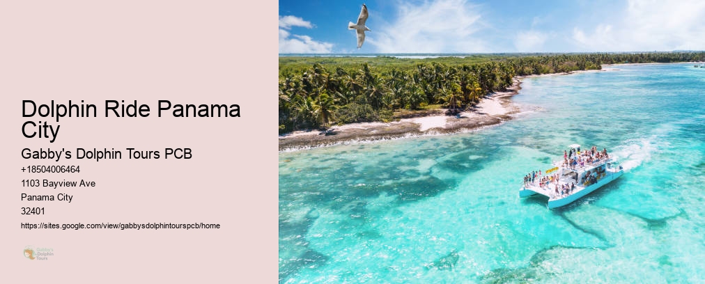 Dolphin Cruise Panama City