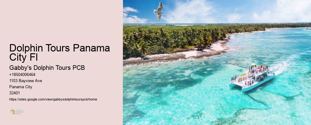 Panama City Dolphin Tours And More