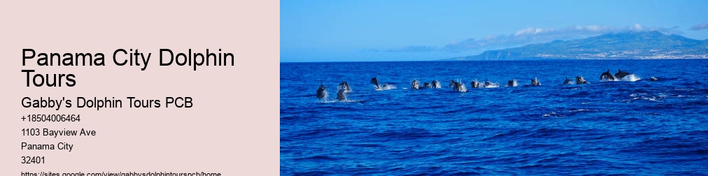 Panama City Florida Dolphin Cruise