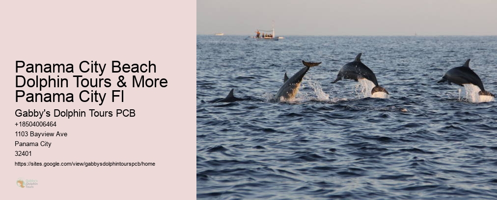 Panama City Beach Dolphin Tours & More Panama City Fl