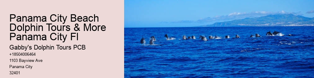 Dolphin Tours Near Me