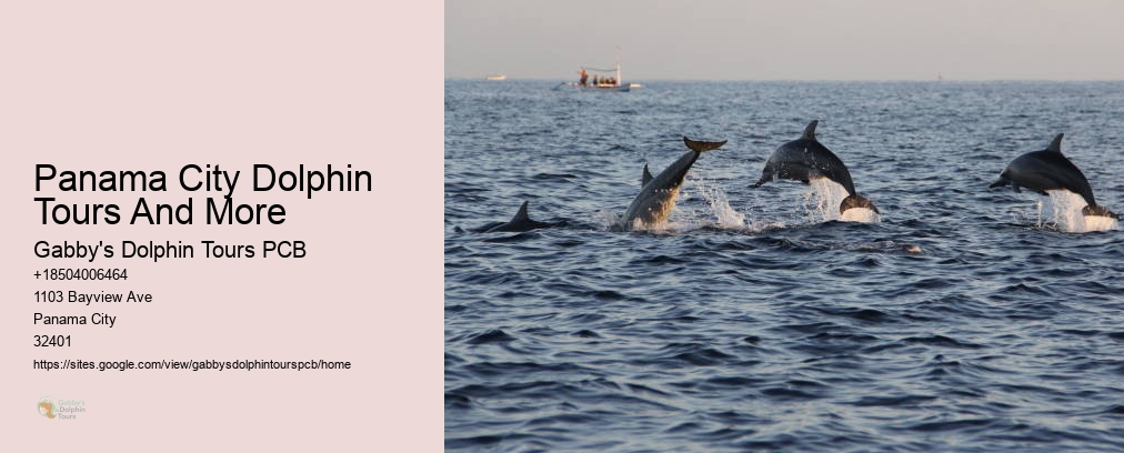 Panama City Dolphin Tours And More