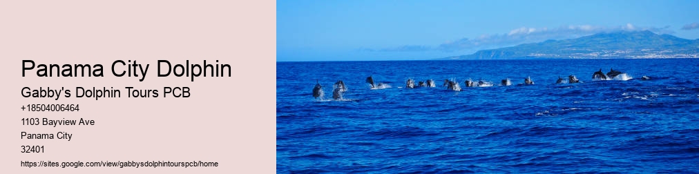 Dolphin And Snorkel Tours Inc Panama City Fl