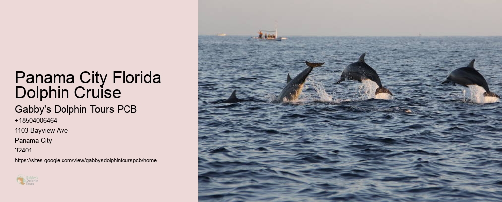 Panama City Florida Dolphin Cruise