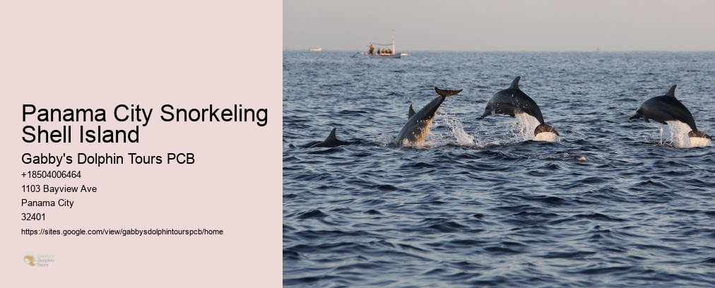 Panama City Snorkeling Shell Island