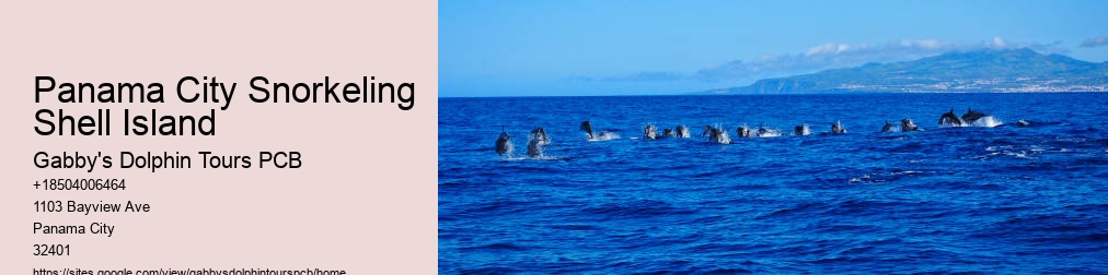 Panama City Florida Dolphin Cruise