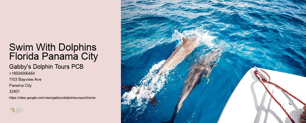 Swim With Dolphins Florida Panama City