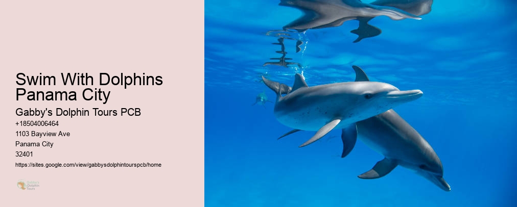 Panama City Beach Dolphin Tours & More Panama City Fl