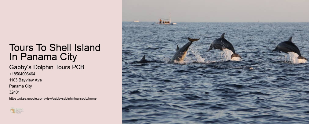 Dolphin Tours Near Me