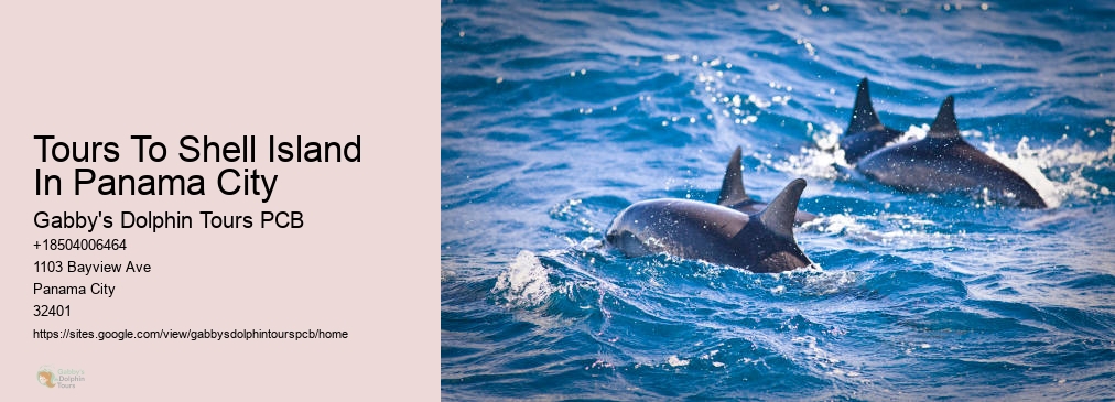 Panama City Florida Dolphin Cruise