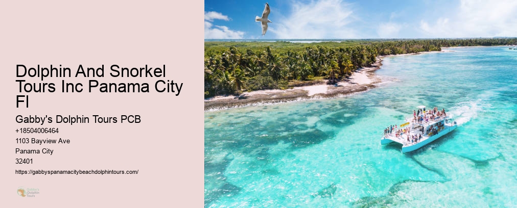 Swim With Dolphins Panama City Fl