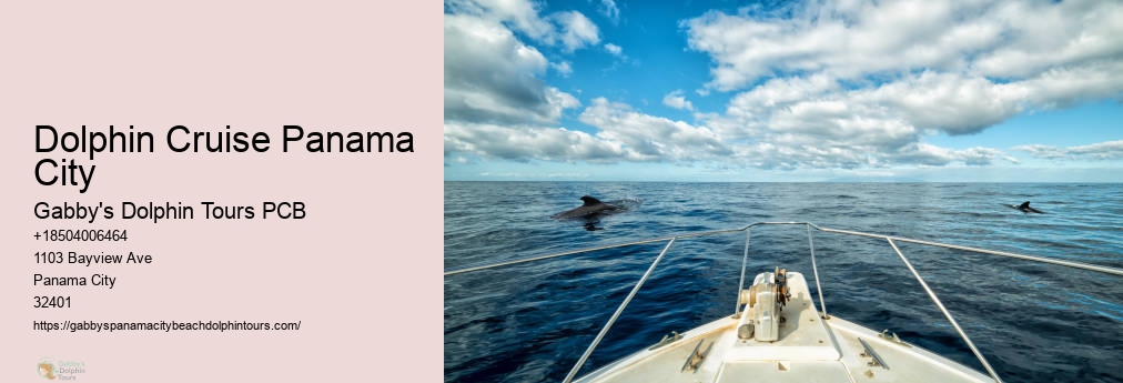 Panama City Snorkeling Shell Island