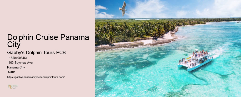 Dolphin Cruise Panama City